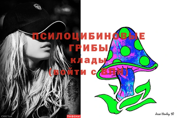тгк Михайловск
