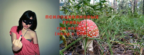 мескалин Михайловка