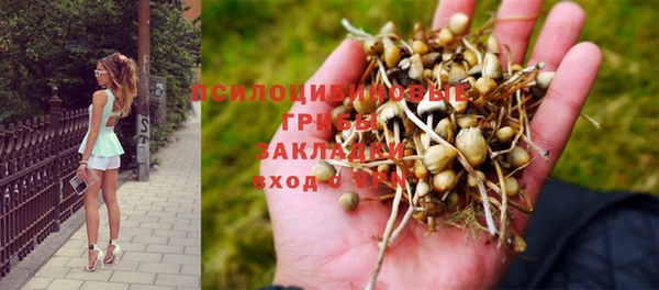 крисы Михайлов