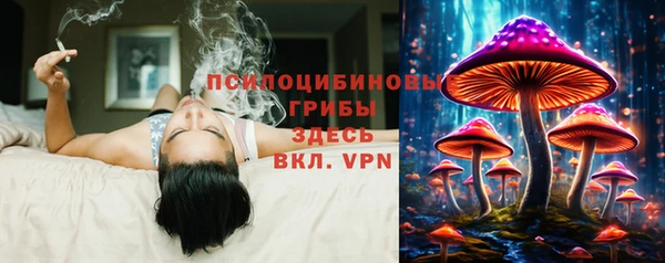 тгк Михайловск
