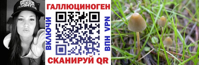 Псилоцибиновые грибы Magic Shrooms  Купить  Горячеводский 