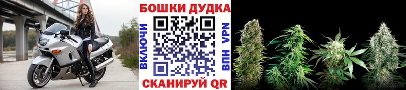 Купить где Горячеводский Марихуана план